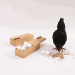 Load image into Gallery viewer, Big Secret