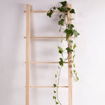 Load image into Gallery viewer, Steps 4