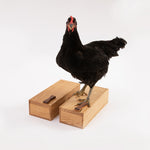 Load image into Gallery viewer, Big Secret