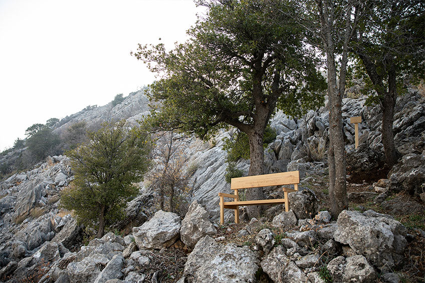 Bench
