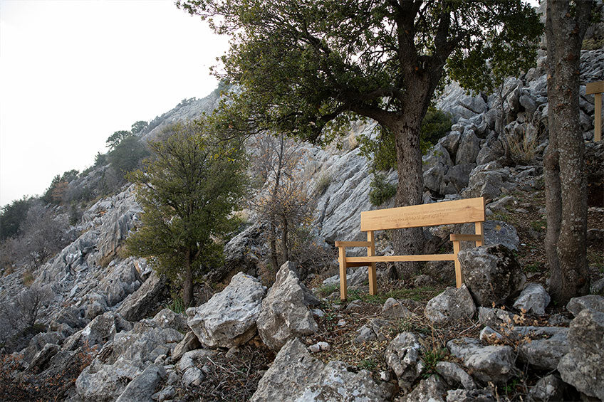 Bench