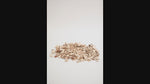 Load and play video in Gallery viewer, Wapla
